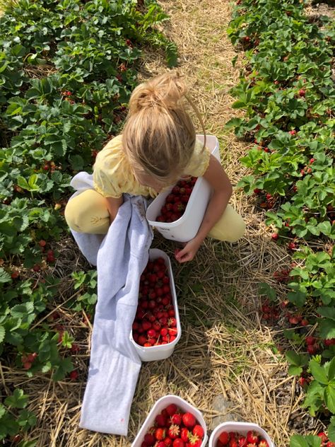 Wine Selfie, Reading Friends, Aesthetic Pants, Grey Outfits, Flowers Coffee, Strawberry Picking, Colorful Aesthetic, Strawberry Fields, Pants Dress