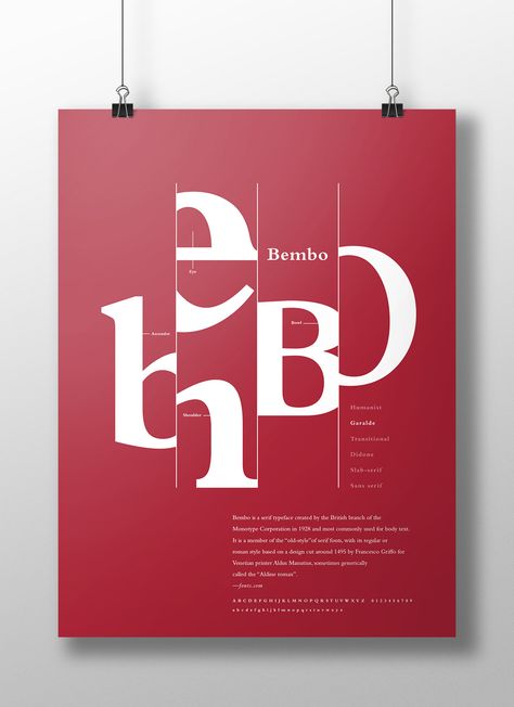 Type Classification Poster on Behance Typographic Book Design, Typeface Poster Design, Typo Poster Design, Typo Graphic Design, Typography Advertising, Certificate Design Inspiration, Architect Portfolio Design, Typeface Poster, Type Classification