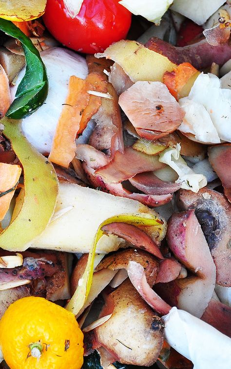 Engineering An End To Food Waste With Smarter Logistics For Our Leftovers | Co.Exist | ideas + impact Climate Warming, Pizza Crusts, Alternative Fuel, Food Scraps, Leftovers Recipes, Pizza Crust, Food Waste, Sustainable Living, Caprese Salad