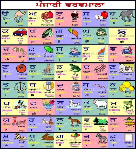 punjabi alphabet Punjabi Alphabet, Kids Learning Numbers, Language Poster, Hindi Alphabet, College Checklist, Alphabet Signs, Punjabi Culture, Learn Hindi, Alphabet Songs