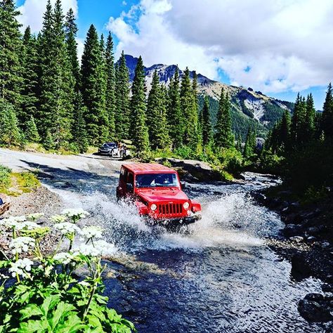 The Colorado Rockies are so tremendously gorgeous! Come join us on the Ouray Jeep Jamboree...only a few spots remain open for registration. #jeepjamboreeusa #jeepjamboree #ourayjeepjamboree Montana Scenery, Red Wrangler, Jeep Jamboree, Camping Colorado, Jeep Things, Jeep Trails, Tj Wrangler, Red Jeep, Jeep Camping