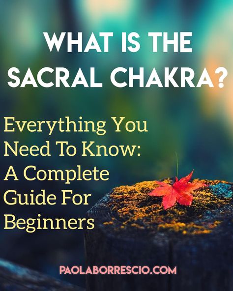 Vishuddha Chakra, The Throat Chakra, The Root Chakra, Second Chakra, The Heart Chakra, Root Chakra Healing, Create Your Own Reality, Chakra Meditation, Sacral Chakra