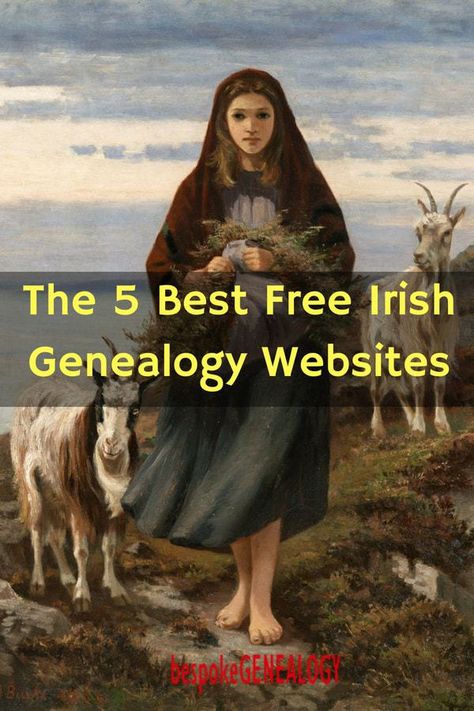 Genealogy Ireland, Free Genealogy Sites, Family History Projects, Irish Genealogy, Genealogy Organization, Genealogy Search, Genealogy Help, Irish Ancestry, Family Tree Research