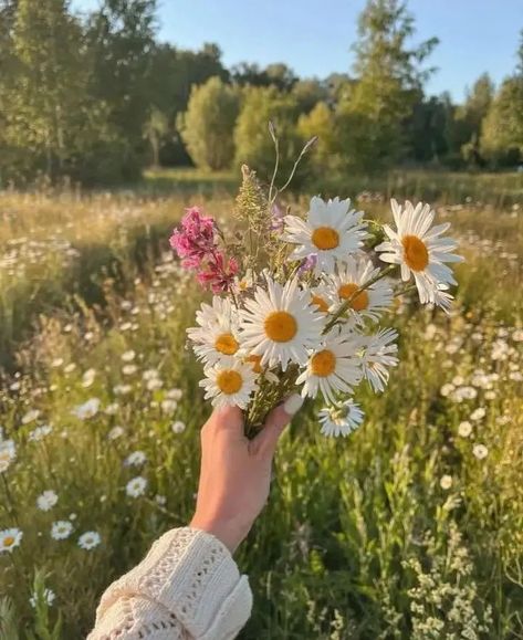 August Vibes Aesthetic, Flower Picking Aesthetic, Giving Flowers, Boquette Flowers, A Bouquet Of Flowers, Nothing But Flowers, Flower Therapy, Spring Aesthetic, Spring Vibes