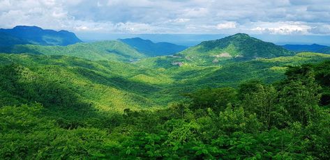 Beautiful landscape of mountain. Green forest or deep jungle with mountain heel and cloud sky. Beauty of nature and Natural wallpaper concept Green Mountain Wallpaper, Photos Landscape, Nature Jungle, Deep Jungle, Natural Wallpaper, Mountain Images, Forest Mountain, Mountain Wallpaper, Jungle Wallpaper