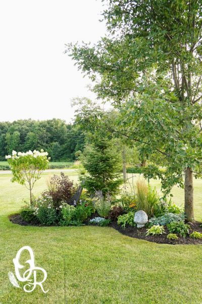 Shed Inspiration, Driveway Border, Garden Front Of House, Landscaping Around Trees, Mailbox Post, Have Inspiration, Home Landscaping, Garden Yard Ideas, Charming Garden