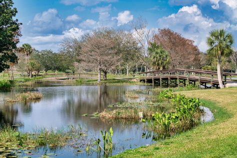 Leesburg is a small city that can be found in the middle of Florida. It is a short drive from the famous city of Orlando ... Read More The post List of 6 Fun Things To Do In Leesburg Fl appeared first on FastLagos. Leesburg Florida, Nature City, Trout Lake, Spanish Heritage, Small City, Garden Park, Lake County, Nature Preserve, Nature Center