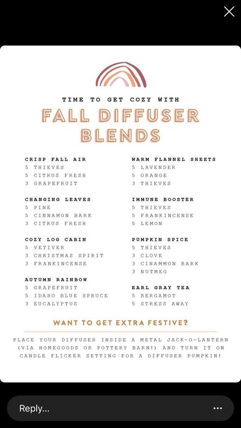 Fall Thieves Diffuser Blends, Flannel Diffuser Blend, Cinnamon Leaf Diffuser Blends, Revive Fall Diffuser Blends, Cinnamon Bark Diffuser Blends, Fall Defuser Blends, Falling Leaves Diffuser Blend, Fall Essential Oils, Fall Diffuser Blends