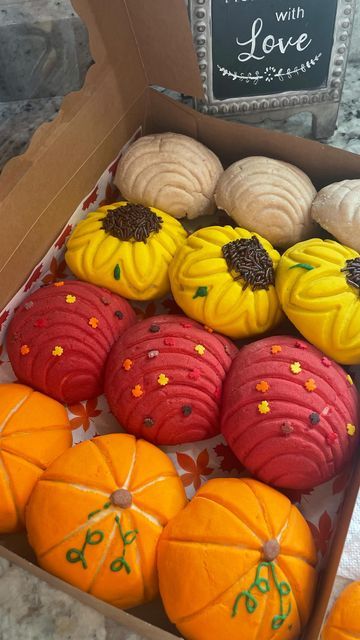 Fall Conchas, Mexican Pastry, Mexican Conchas, Pan Dulce Recipe, Concha Designs, Conchas Recipe, Mexican Pastries, Mexican Sweets, Mexican Sweet Breads