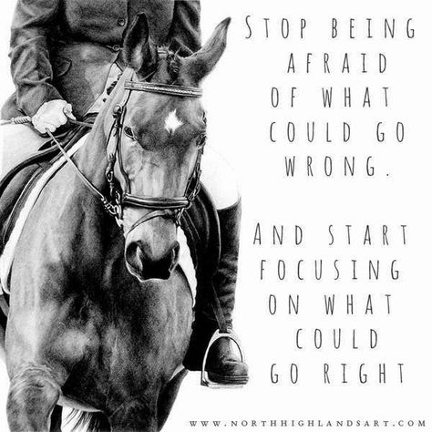 Horse Jumping Quotes, Horse Love Quotes, Equine Quotes, Horse Quotes Funny, Inspirational Horse Quotes, Horse Riding Quotes, Equestrian Quotes, Riding Quotes, Cowgirl Quotes