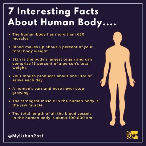 Organisms Science, Interesting Facts About Humans, Interesting Health Facts, Body Facts, School Nurse Office, Basic Anatomy, Human Body Facts, Facts About Humans, Psychological Facts Interesting