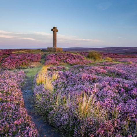 North York Moors National Park, Visit England, North York Moors, Visiting England, Cornwall England, Yorkshire Dales, Yorkshire England, England Travel, North Yorkshire