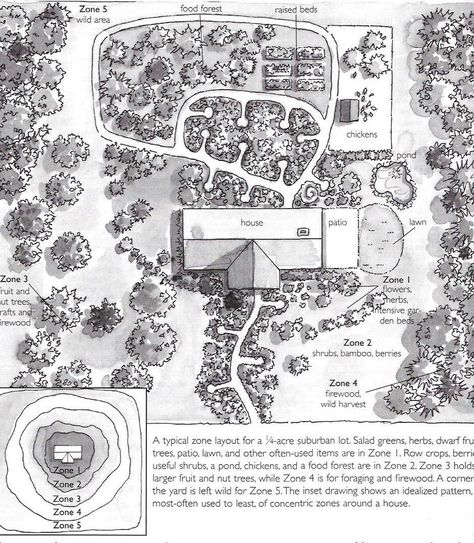 Permaculture layout Homestead Layout, Farm Layout, Permaculture Gardening, Permaculture Design, Garden Design Layout, Urban Homesteading, Plan Drawing, Food Forest, Forest Garden