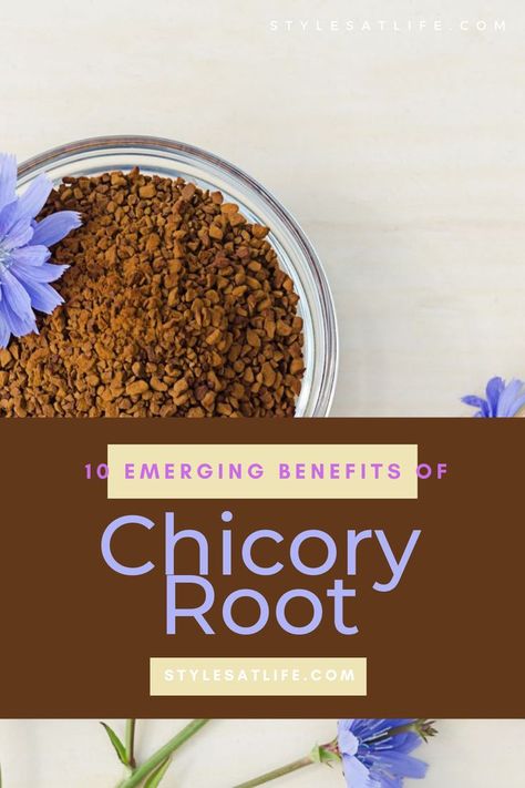 Health Benefits of Chicory Chicory Benefits, Benefits Of Chicory Root, Chicory Root Benefits, Chicory Root, Tea Benefits, Holistic Medicine, Recipe Boards, Hot Tea, Medicinal Plants