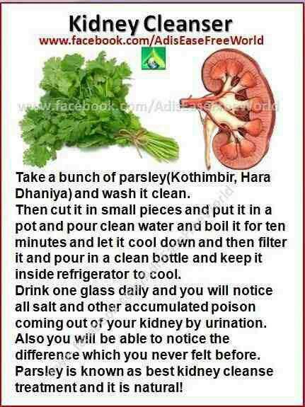 kidney cleanse - pour boiling water over parsley, let it cool, filter this water and chill. Kidney Detox, Kidney Cleanse, Kidney Health, Healthy Detox, Natural Health Remedies, Healing Herbs, Detox Cleanse, Natural Medicine, Detox Drinks