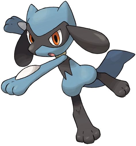 Riolu Pokémon Diamond And Pearl, Baby Pokemon, Lucario Pokemon, Pokémon Diamond, Pokemon Regions, Pokémon Black And White, Ash Pokemon, Black Pokemon, Pokemon Pokedex