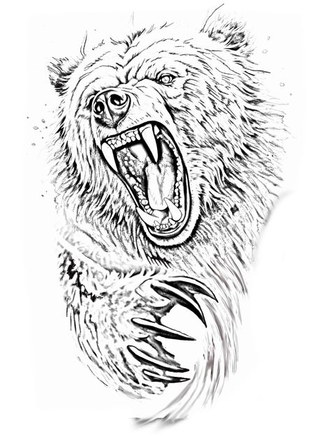 Grizzly Bear Drawing, Black Bear Tattoo, Grizzly Bear Tattoos, Bear Spirit Animal, Bear Stencil, Indian Feather Tattoos, Believe Tattoos, Bear Sketch, Medusa Tattoo Design