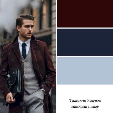 Dark Autumn Men Outfits, Dark Winter Outfits Color Palettes, What Colors Go Together, Cool Winter Color Palette, Deep Winter Palette, Winter Bright, Deep Autumn Color Palette, Deep Winter Colors, Man Dress