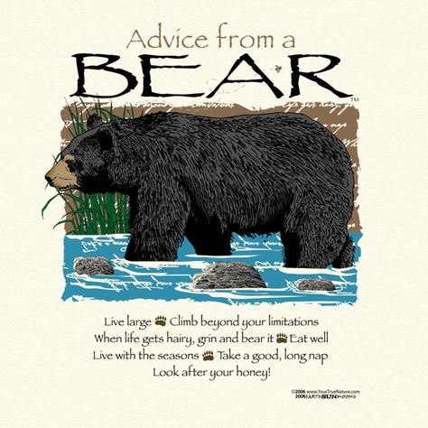 Advice From A Bear Bear Spirit Animal, Grin And Bear It, Earth Sun And Moon, Bear Spirit, Wood Badge, Totem Animals, Bear Quote, Animal Spirit Guides, Animal Symbolism