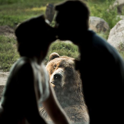 Wedding Photos Couple, Zoo Pictures, Couple Marriage, Zoo Wedding, Ideas Wedding Photos, Wedding Session, Couple Photography Poses, The Zoo, Woodland Creatures