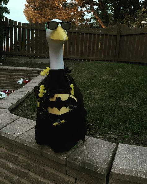 I’m Batman Funny Duck Pictures, Weird Pfps, Garden Goose, Duck Memes, Porch Goose, Bright Blue Hair, Duck Pictures, Wallpaper Wa, Funny Duck