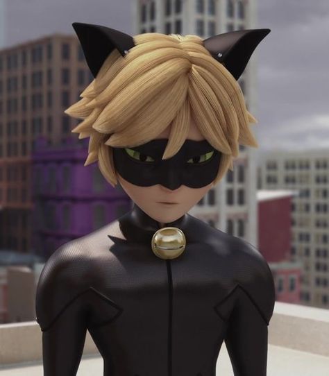 cheer up :,) Cat Noir Miraculous, Profile Picture Pfp, Ladybug E Catnoir, Ladybug Wallpaper, Me Against The World, Miraculous Wallpaper, Adrien Agreste, Miraculous Ladybug Fan Art, Miraculous Ladybug Funny