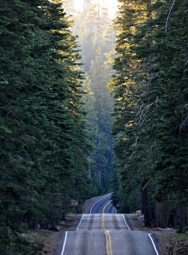 I call this the cradle of Oregon. Lassen Volcanic, Lassen Volcanic National Park, Belle Nature, Cottage Life, Tall Trees, Back Road, On The Road Again, Green House, Beautiful Scenery