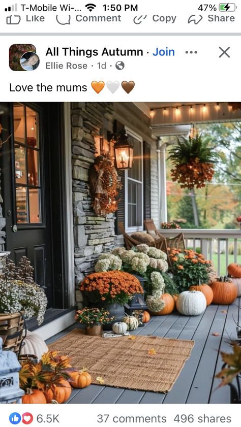 Fall Front Porch Decor Ideas, Autumn Love, Casa Halloween, Neutral Fall Decor, Fall Front Porch Decor, Casa Vintage, Fall Thanksgiving Decor, Autumn Decorating, Fall Front Porch