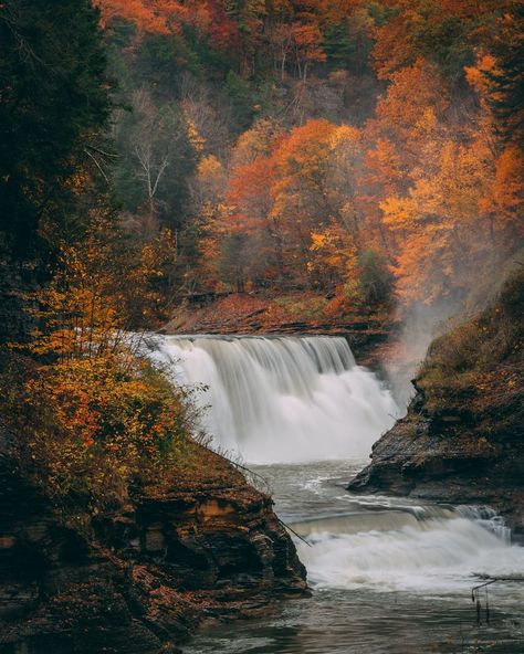 Autumn Waterfalls, Letchworth State Park, Ny Trip, Western New York, Hot Air Balloon Rides, Whitewater Rafting, Air Balloon Rides, Photo Poster, Nature Trail