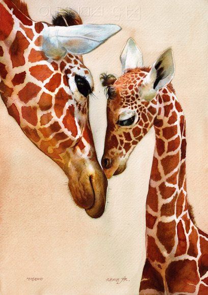 View: Giraffes - mother and baby giraffe II | Artfinder Baby Giraffes, Giraffe Drawing, Baby Animal Art, Giraffe Painting, Giraffe Art, Baby Drawing, Color Painting, Animal Pics, Baby Giraffe