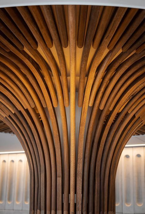 Aalia Restaurant - Sculptform Middle Eastern Restaurant, Timber Battens, Sydney Restaurants, Neutral Colour Palette, Design Process, Your Eyes, 5 Star, Chef, Custom Design