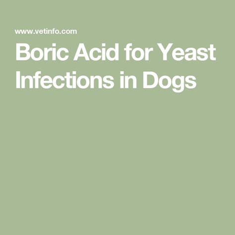 Boric Acid for Yeast Infections in Dogs Boric Acid, Yeast Infections, Yeast, Dogs