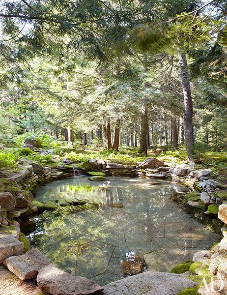 Pools In The Woods, Pool In Woods, Pond In Woods, Natural Pool Ideas, Pool In The Woods, Jens Jensen, Flower Pool, Ice Pattern, Nature Woods