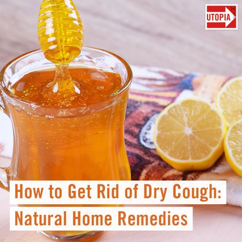 Wondering how to get rid of dry cough with only a handful of natural home ingredients? Effective home remedies for dry coughs range from honey to natural herbs. Put them to proper use and start breathing easy again. #cough #remedies #drycough #homeremedy #householdremedies #healthy #nutrition #cleaneating #healthyfood #eatclean #gingerrecipes #jhealthilthiylifving Honey Cough Remedy, Homemade Cough Syrup, Homemade Cough Remedies, Dry Cough Remedies, How To Breathe, Dry Cough, Ginger Benefits, Home Remedy For Cough, Organic Remedy