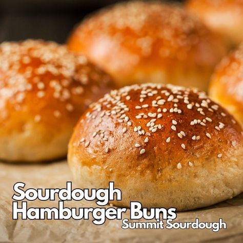 Sourdough Hamburger Buns - Small Batch Homemade Sourdough Hamburger Buns, Sourdough Starter Hamburger Buns, Small Batch Hamburger Bun Recipe, Small Batch Sourdough Starter, Hamburger Buns Sourdough, Sourdough Burger Buns Recipe, Sourdough Hamburger Buns, Sourdough Buns, Hamburger Buns Recipe