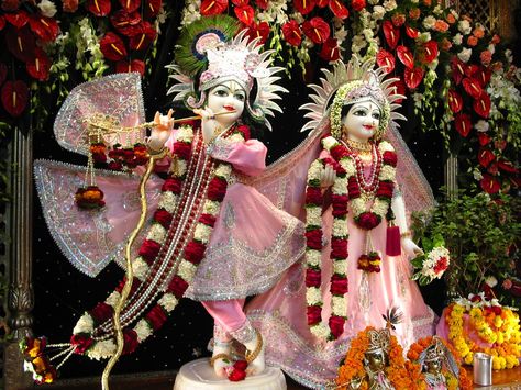 Best HD Photos of Radha Krishna Blessings - Festival Chaska Radhe Rani, Deities Art, राधा कृष्ण वॉलपेपर, Iskcon Krishna, Radhe Krishna Wallpapers, Shree Krishna Wallpapers, Full Hd 4k, Zero Wallpaper, Statue Art