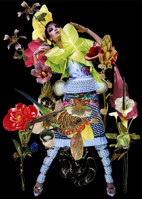 Fashion Illustration Collage, Floral Collage, Collage Kunst, Editorial Art, Magazine Collage, Fashion Collage, Arte Sketchbook, Collage Artists, Mamma Mia