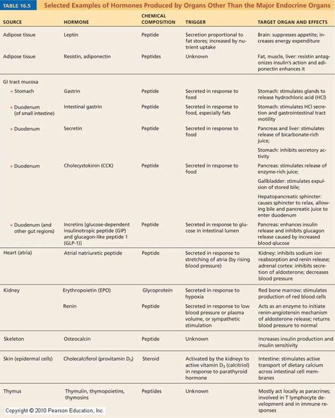 Here is a list of some hormones secreted from non-major endocrine organs  (6/18/2013) Anatomy (CTS) Hormones Chart, Endocrine System Hormones, Medical Laboratory Science Student, Crna School, Medical Laboratory Science, Study Flashcards, Human Anatomy And Physiology, Medical Coding, Pre Med