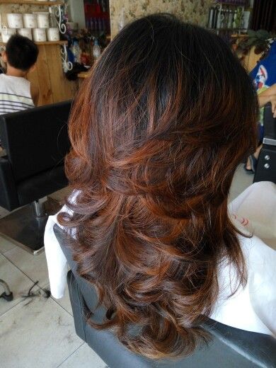 Chestnut Hair Color, Hair Inspiration Long, Dyed Natural Hair, Pretty Hair Color, Sassy Hair, Hair Color Highlights, Hair Life, Hair Inspo Color, Hair Color For Black Hair