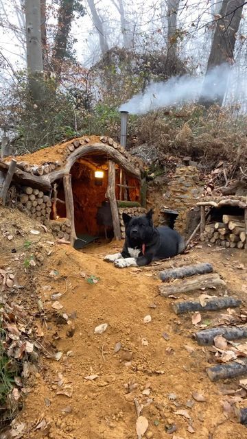 Survival Camp Shelter, Primitive Survival Shelters, Bush Craft Shelter, Bushcraft Homestead, Bushcraft Shelter Long Term, Stick Teepee, Shelters In The Woods, Pixie Garden, Bushcraft Camp