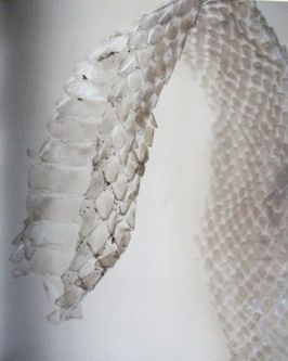 Camille Cortet Snake and Molting Legwear Inspiration Silver Snake Aesthetic, White Snake Aesthetic, Snake Molting, Snake Fashion Photography, Snake Inspired Fashion Runway, Snake Shedding, A Level Textiles, Fur Texture, Year Of The Snake