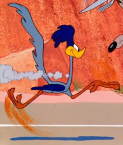 Road Runner/Gallery | Looney Tunes Wiki | Fandom The Road Runner, New Looney Tunes, New Scooby Doo, Looney Tunes Show, Baby Looney Tunes, Looney Tunes Characters, Roger Rabbit, Looney Tunes Cartoons, Dc Comic Books