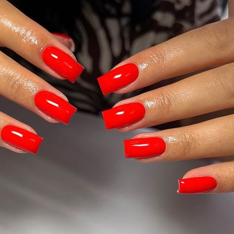 Bright Red Nails Summer, Neon Red Nails, Red Nails Summer, Sophisticated Nails, Bright Red Nails, Girls Fun, Neon Red, Nail Colours, Crazy Nails