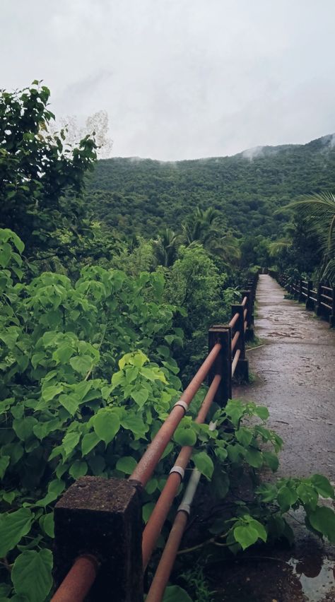 #goa #nature #naturephotography #greenery #mountains #monsoon #environment #photography #sky #the view #rainy days #goadiaries Goa Nature Photography, Monsoon Photography Rainy Days, Monsoon Snap, Rainy Day Snap, Goa Monsoon, Goa Nature, Rainy Mountains, Monsoon Photography, Goa Aesthetic