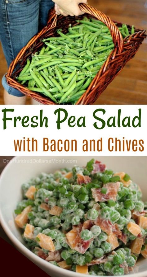 Fresh Pea Salad with Bacon and Chives - One Hundred Dollars a Month Fresh Pea Recipes, Pea Salad With Bacon, Green Pea Salad, Green Peas Recipes, Cold Salad Recipes, Pea Salad Recipes, Fresh Peas, Csa Recipes, Summer Meals