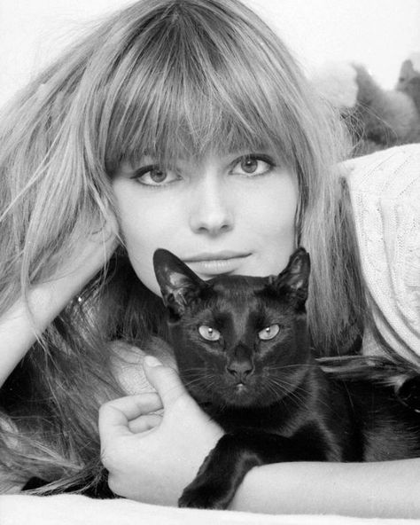 Cats Images, Celebrities With Cats, Paulina Porizkova, Cat Pose, A Black Cat, Cat Photography, Cat People, Foto Poses, Cat Person