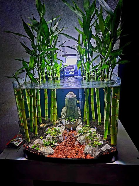 Bamboo In Aquarium, Lucky Bamboo Fish Tank, Bamboo Fish Tank, Fish Tank Aquaponics, Cool Fish Tank Decorations, Aquarium Garden, Aquarium Set, Aquarium Terrarium, Fish Pond Gardens