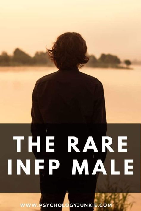 The Rare INFP Male - Psychology Junkie Infp Male Personality, Isfp Male, Infp Male, Infp Characters, Infp Quotes, Extraverted Intuition, Type 4 Enneagram, Infp T Personality, Learning Psychology