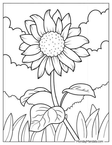 Daisy Coloring Pages, Spongebob Coloring, Sunflower Coloring Pages, Bobbie Goods, Free Kids Coloring Pages, Spring Coloring Pages, Unicorn Coloring Pages, Easy Coloring Pages, Flower Coloring Pages