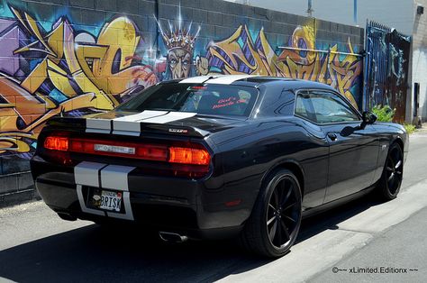 My 2011 Dodge Challenger SRT8 Dodge Challenger Srt8, Challenger Dodge, 2013 Dodge Challenger, 2012 Dodge Challenger, 2011 Dodge Challenger, Challenger Srt8, Cars Luxury, Street Racing, Sports Cars Luxury